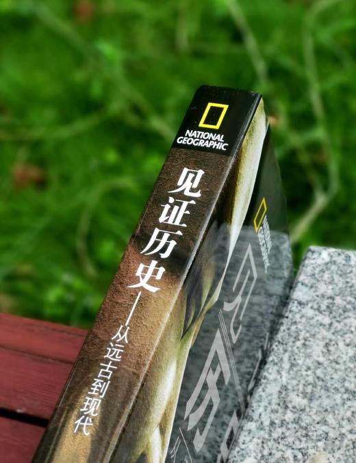 《见证历史：从远古到现代》，大16开，精装， [美]斯蒂芬·G.希斯洛普 / 鲍勃·萨默维尔 / 约翰·米利肯·汤普森著，中国大百科出版社2016年一版一印，467页，定价168，售价50元。 商品图2
