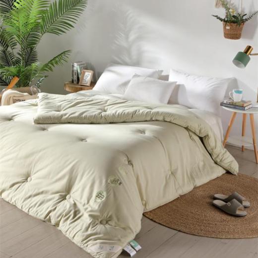 【远梦】艾暖暖四季被 商品图0