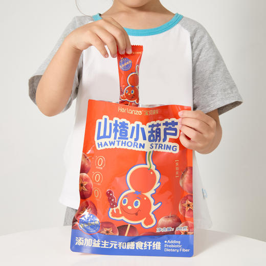 Herlanze宝贝易餐山楂小葫芦98g 商品图5