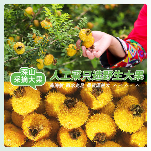 贵州特产 刺梨果脯 风味小吃 酸甜好味 168g/罐 商品图5