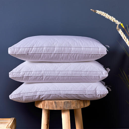 远梦生物绒立体枕 商品图1