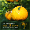壹号陈皮-正宗新会干仓圈枝陈皮-12片五年圈枝【赠礼盒+礼品袋】 商品缩略图5