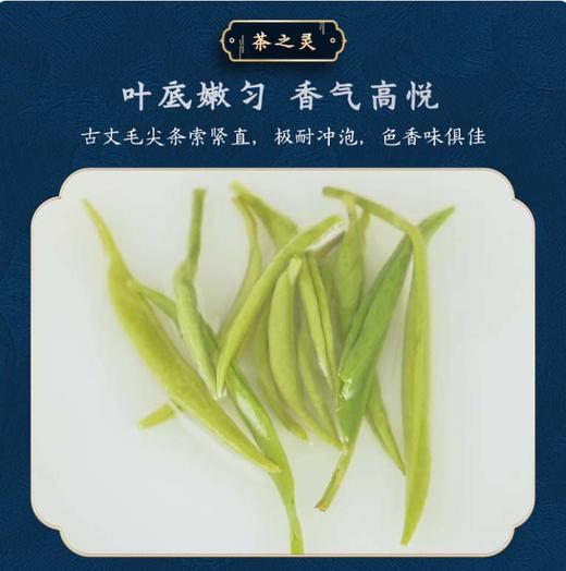 湖南湘西 大师手作茶王茶 古丈毛尖 手工绿茶 明前新茶 高档礼盒装 茶礼 送礼 商品图3