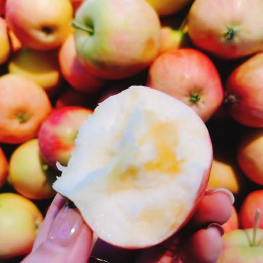 香槟果3斤 商品图0