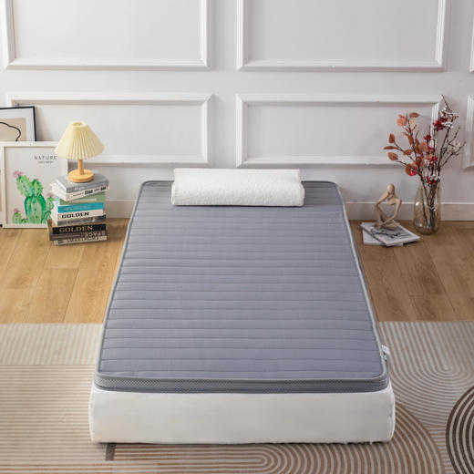 【远梦】乳胶柔绵舒适垫 商品图0