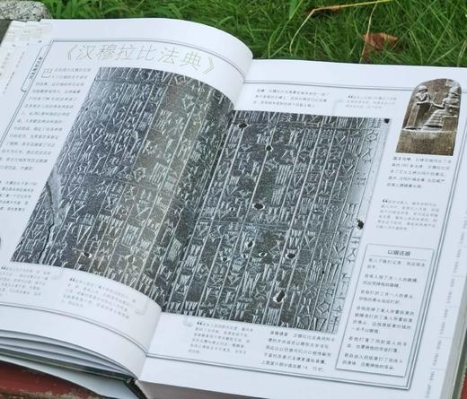 《见证历史：从远古到现代》，大16开，精装， [美]斯蒂芬·G.希斯洛普 / 鲍勃·萨默维尔 / 约翰·米利肯·汤普森著，中国大百科出版社2016年一版一印，467页，定价168，售价50元。 商品图3