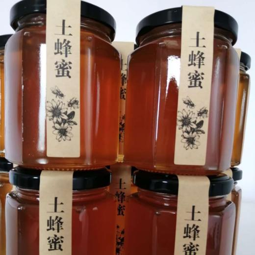 枣源中蜂土蜂蜜枣花蜜2瓶装 商品图1