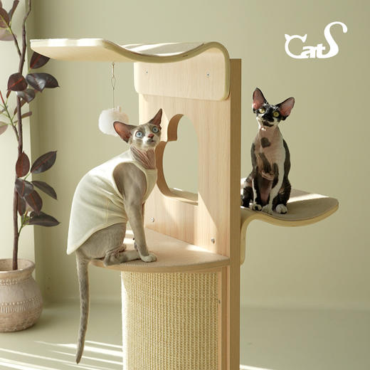 CatS梦心实木猫爬架人间烟火系列木制剑麻猫抓板曲木全体型猫通用 商品图3