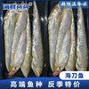 海刀鱼 商品缩略图0