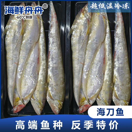 海刀鱼 商品图0