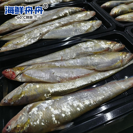 海刀鱼 商品图1