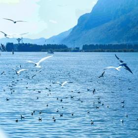 昆明滇池海埂公园海伟国际度假酒店￥1499元起/单人6晚，2人起订，可拆分双人3晚，旅居滇池海埂边的五钻酒店！近地铁站交通方便！