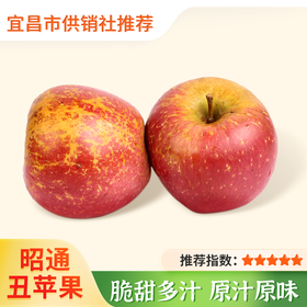 【云南】2025新果 昭通丑苹果 水果新鲜 整箱当季