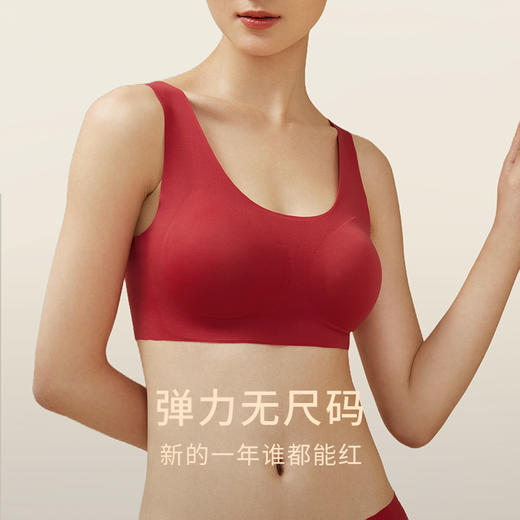 一起红】金三塔桑蚕丝文胸套装红色婚庆软支撑文胸内裤本命年    NZFDB301LH 商品图3