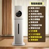 秋冬【空气加湿器】家用大雾量 空调房落地式静音杀菌 卧室净化大容量喷雾机 商品缩略图6