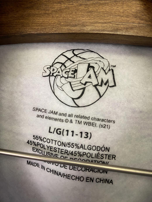 SPACE JAM 连帽卫衣_HDS(L) 商品图2