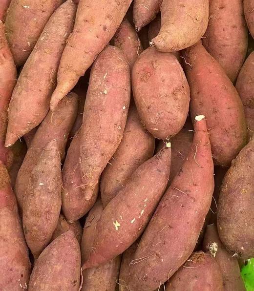 薯小白地瓜（750克左右/袋） 商品图1