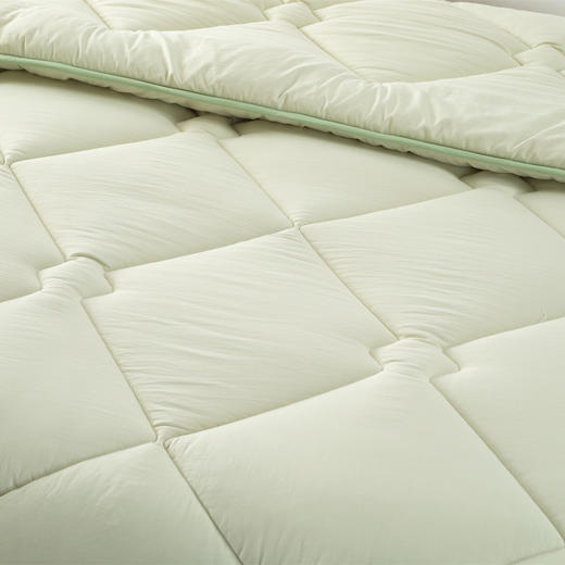 【远梦】锦鲤四季被/冬被（随机发花色） 商品图5