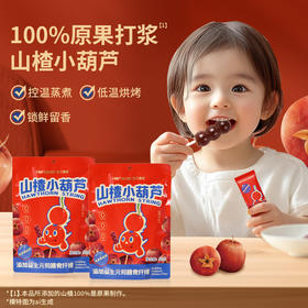 Herlanze宝贝易餐山楂小葫芦98g