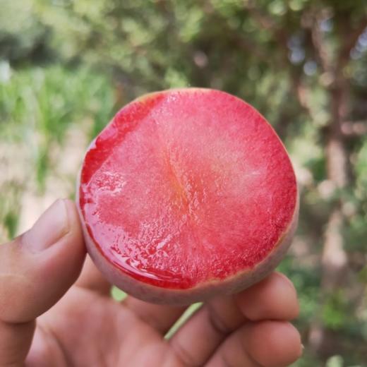 甜果源源 新疆恐龙蛋 帝味红肉李子黑金刚布林新鲜水果3斤礼盒装 大果(80-120g）顺丰包邮 商品图2