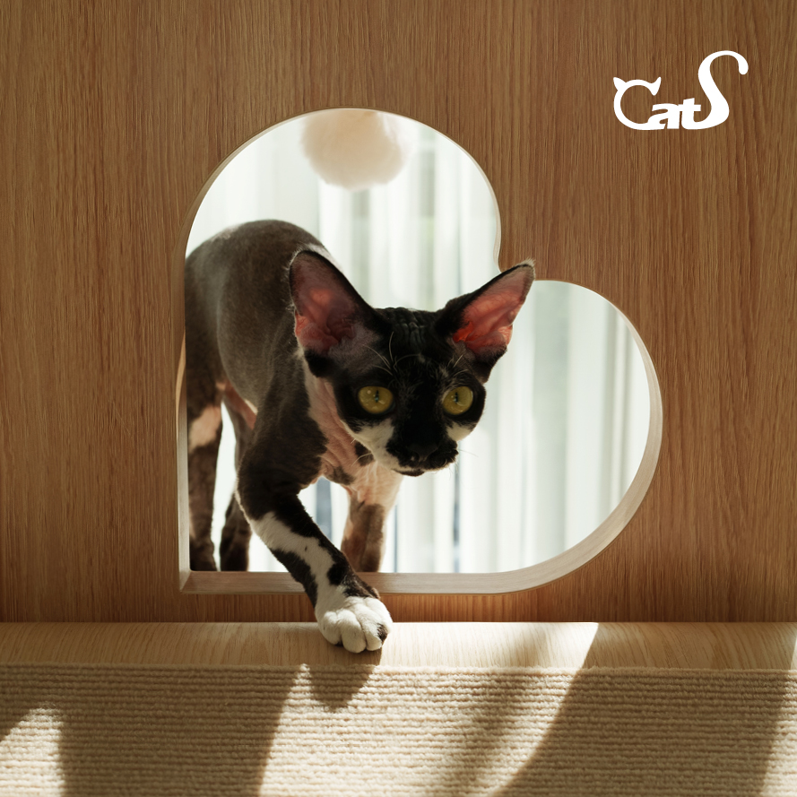 CatS梦心实木猫爬架人间烟火系列木制剑麻猫抓板曲木全体型猫通用