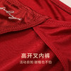 一起红】金三塔桑蚕丝文胸套装红色婚庆三角杯文胸内裤组合红品本命年   NSF8A302LH/NZFDA306LH 商品缩略图3