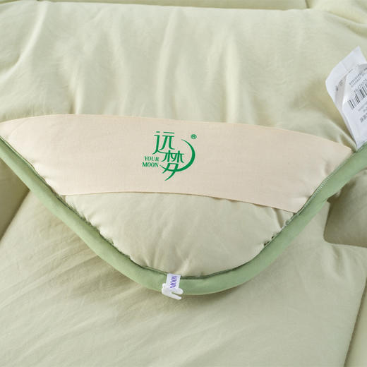 【远梦】锦鲤四季被/冬被（随机发花色） 商品图3