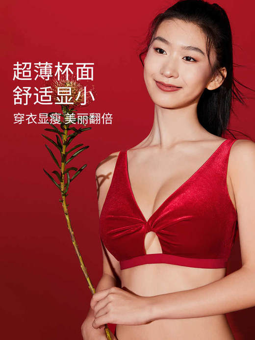 奶糖派大胸显小幽梦丝绒复古丝绒套装无钢圈软支撑文胸承托内衣 商品图1
