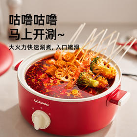 大宇电火锅家用多功能料理一体式S29