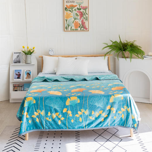 【远梦】芯柔四季毯 商品图3