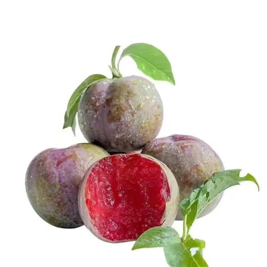 甜果源源 新疆恐龙蛋 帝味红肉李子黑金刚布林新鲜水果3斤礼盒装 大果(80-120g）顺丰包邮 商品图0