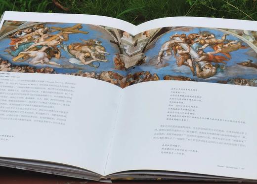《艺术巨匠 米开朗基罗》，小8开，软精装，韩雪岩编著，颂雅风出品，河北教育出版社2011年一版一印，219页，定价138，售价88元 商品图12