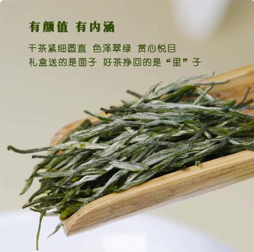 湖南湘西 古丈毛尖 节日送礼茶 礼盒装 明前头采茶 商品图1