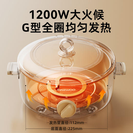 大宇电火锅家用多功能料理锅一体式电煮锅S29 商品图1