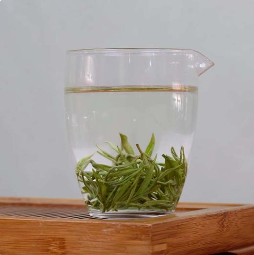 湖南湘西 头春采摘 新茶古丈毛尖绿茶 明前嫩芽 湖南湘西高山茶叶 方罐装 100g 商品图2