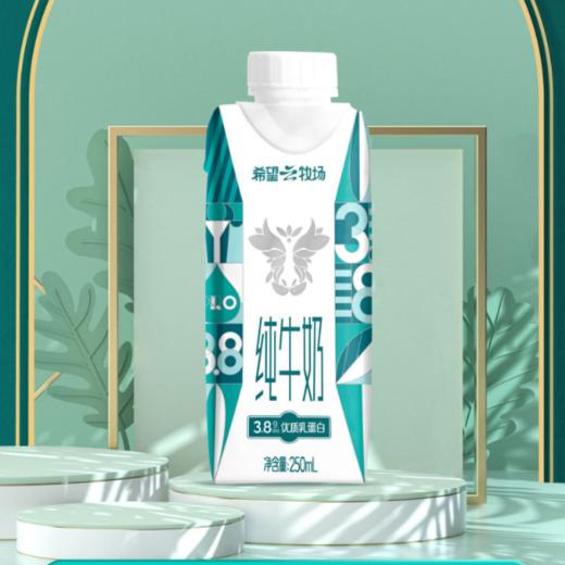 新希望云牧场3.8g梦幻盖纯牛奶250ml*10 商品图0