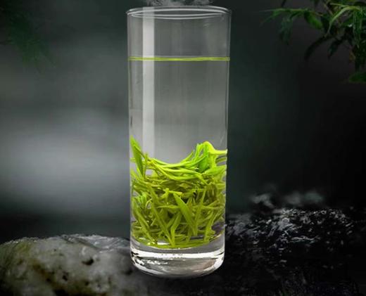 湖南湘西 保靖黄金茶 明前浓香 春茶 散装 绿茶 250g 袋装 商品图2