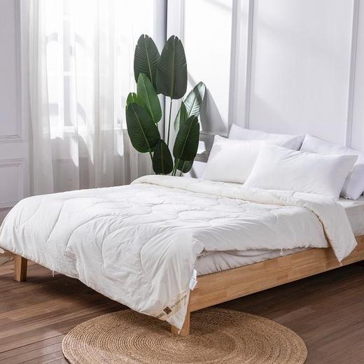 【远梦】MICHELL1870羊毛双人四季被 商品图0