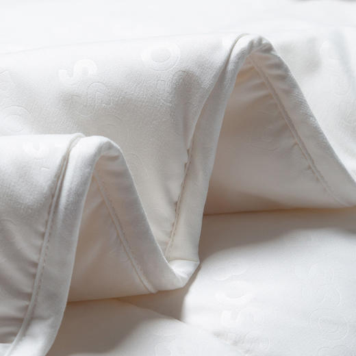 17300- HBYM-003 BOSS 经典LOGO澳毛被 商品图5