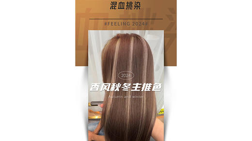 2024香风秋冬主推色 Part.4-混血挑染色 融合亚裔的质感与混血的美感 商品图0