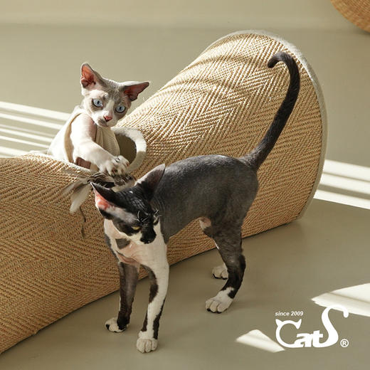 CatS金元宝猫隧道人间烟火系列木制剑麻猫抓板猫玩具多猫大猫适用 商品图3