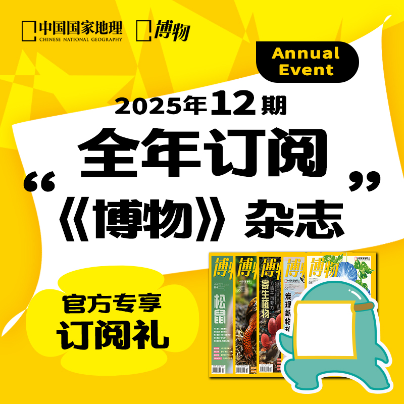 《博物》杂志 2025年订阅 一月份起订 赠非洲健身动物随机模型 青少年科普课外读物期刊