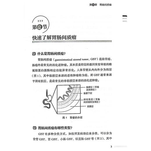 胃肠常见肿瘤防与治 人民健康 名家科普丛书 肠胃间质瘤 胃癌 结直肠癌 主编 叶颖红 王杉 科学技术文献出版社 9787523505038 商品图4