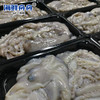 中号章鱼 商品缩略图1