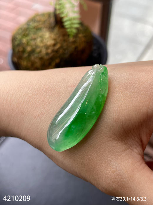4210209，福瓜裸石。具体价格微信咨询 商品图5