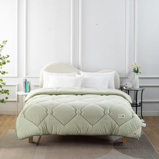 【远梦】锦鲤四季被/冬被（随机发花色） 商品图1