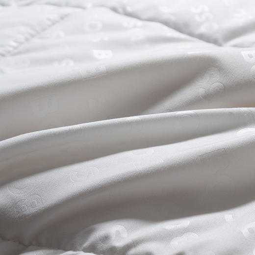 17300- HBYM-003 BOSS 经典LOGO澳毛被 商品图4