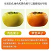 甜果源源 陕西渭南新鲜脆柿子 巧克力脆柿脆甜硬柿子水果生鲜5斤优选装 净重4.5斤(单果100g+） 商品缩略图2