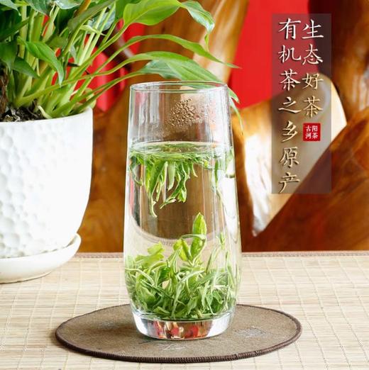 湖南 湘西黄金茶 绿茶 嫩芽 明前头采 茶叶 100g 商品图2