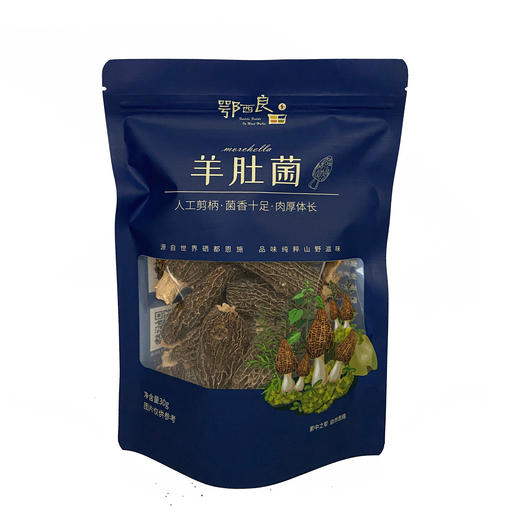 【企业】鄂西良田羊肚菌袋装30g/50g 商品图0